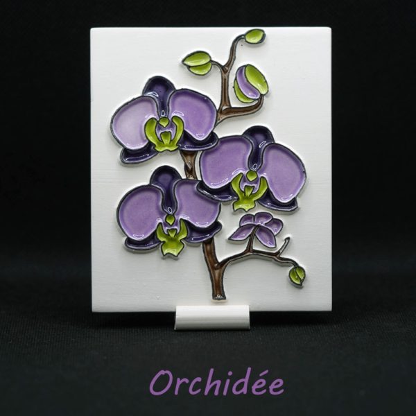 orchidee