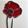 Brin de Coquelicot