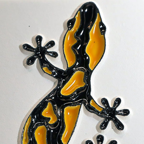 salamandre loupe Salamandre