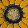tournesol loupe Tournesol